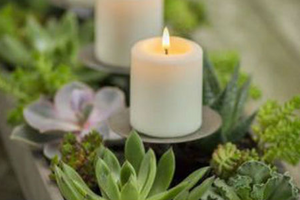 Do Citronella Candles Repel Mosquitoes?