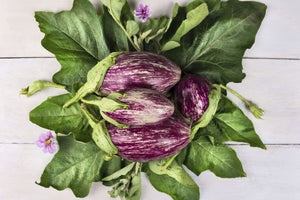 Aubergines with leaves on a white background.