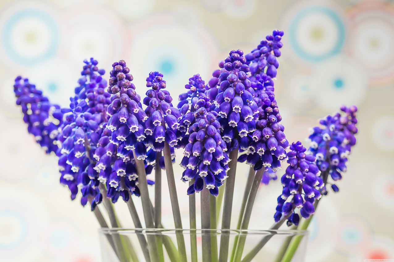 Spring Essential Oils