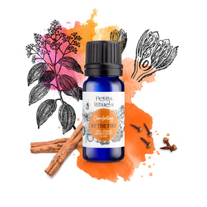 BY THE FIRE Essential Oil Blend (10ml)